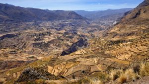 Cañon del Colca - Arequipa