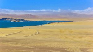 Paracas